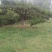 造人间美景，迎天下客人