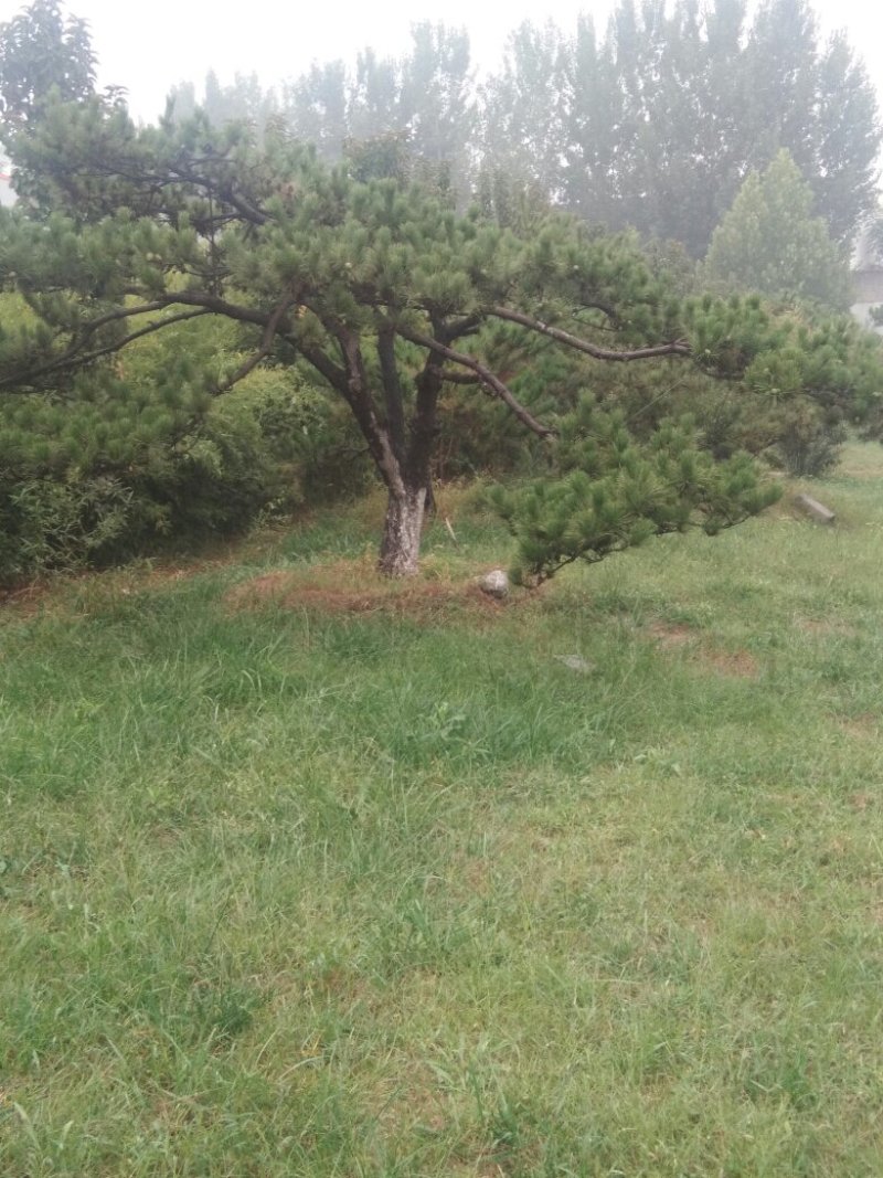 造人间美景，迎天下客人