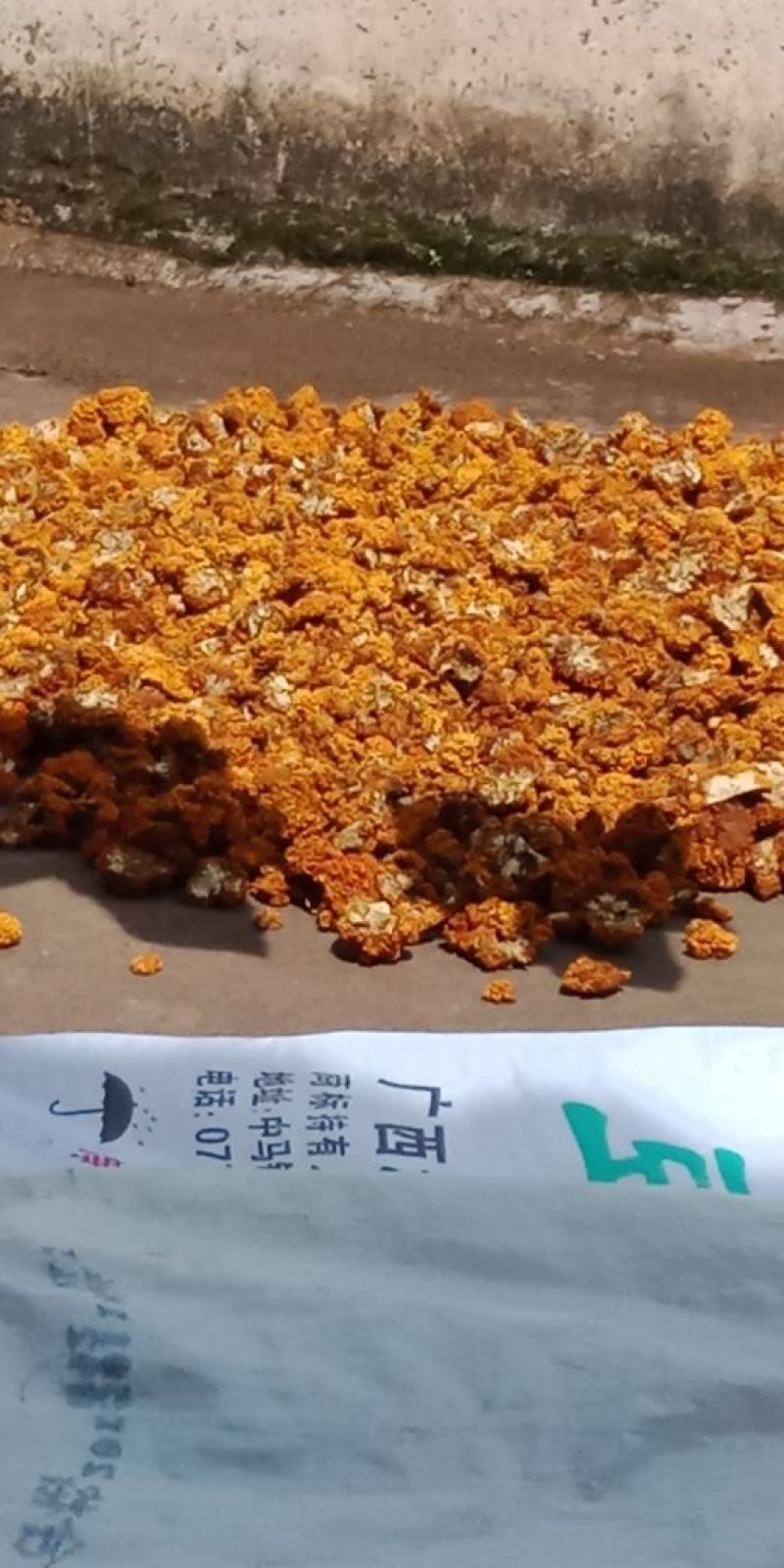金耳，原产地直销。