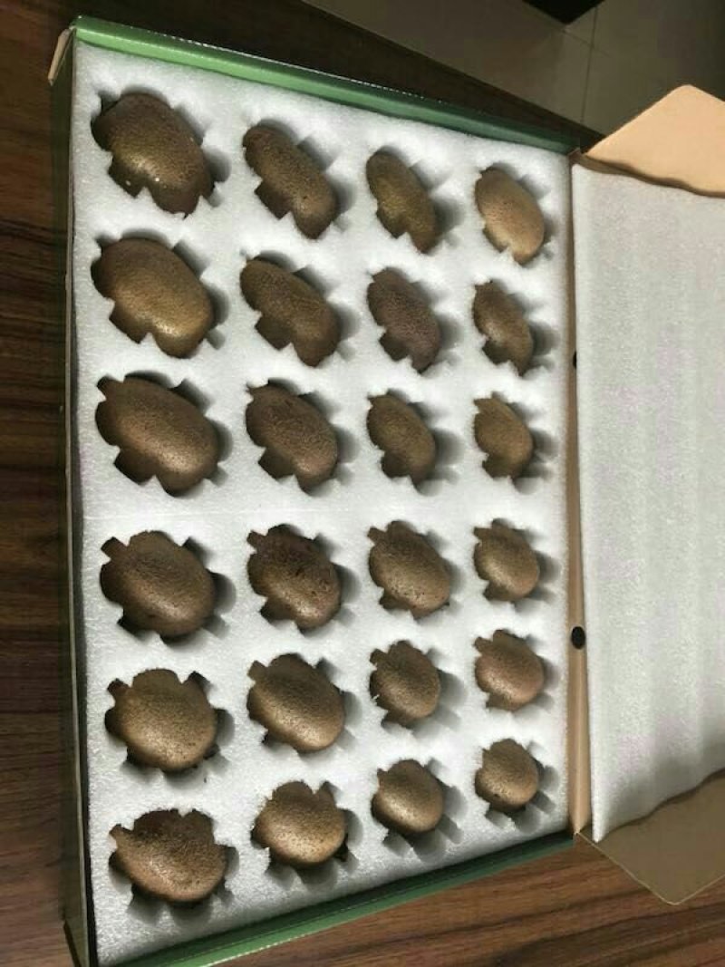 中国猕猴桃之乡周至