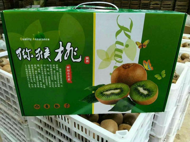 中国猕猴桃之乡周至