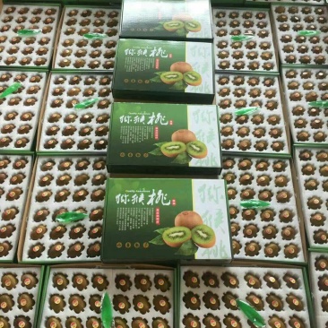 中国猕猴桃之乡周至