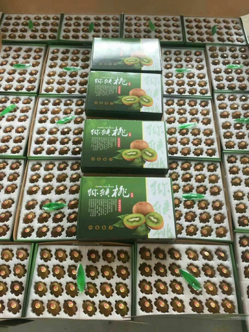 中国猕猴桃之乡周至