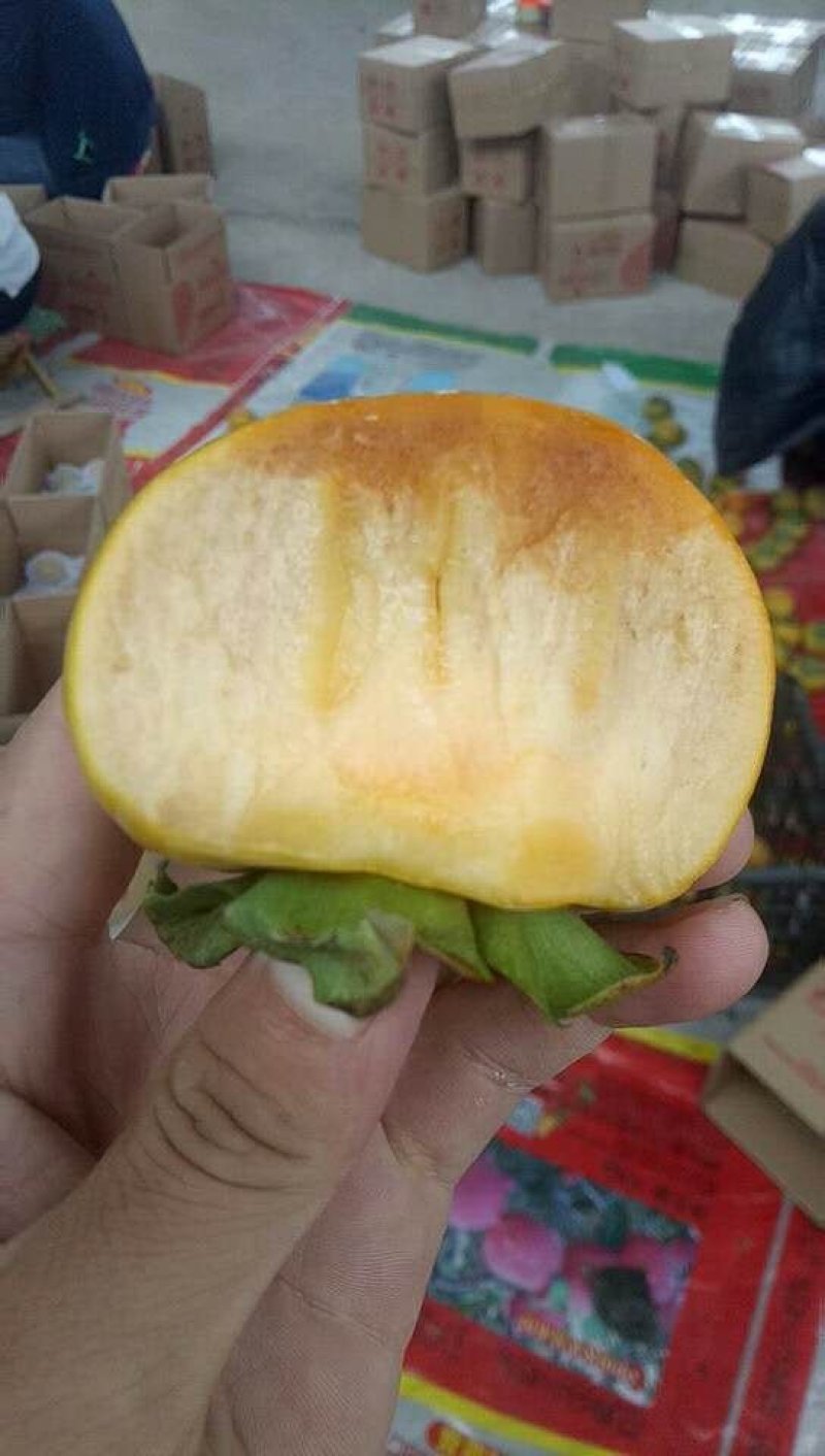 陕西大荔脆甜柿子产区供应