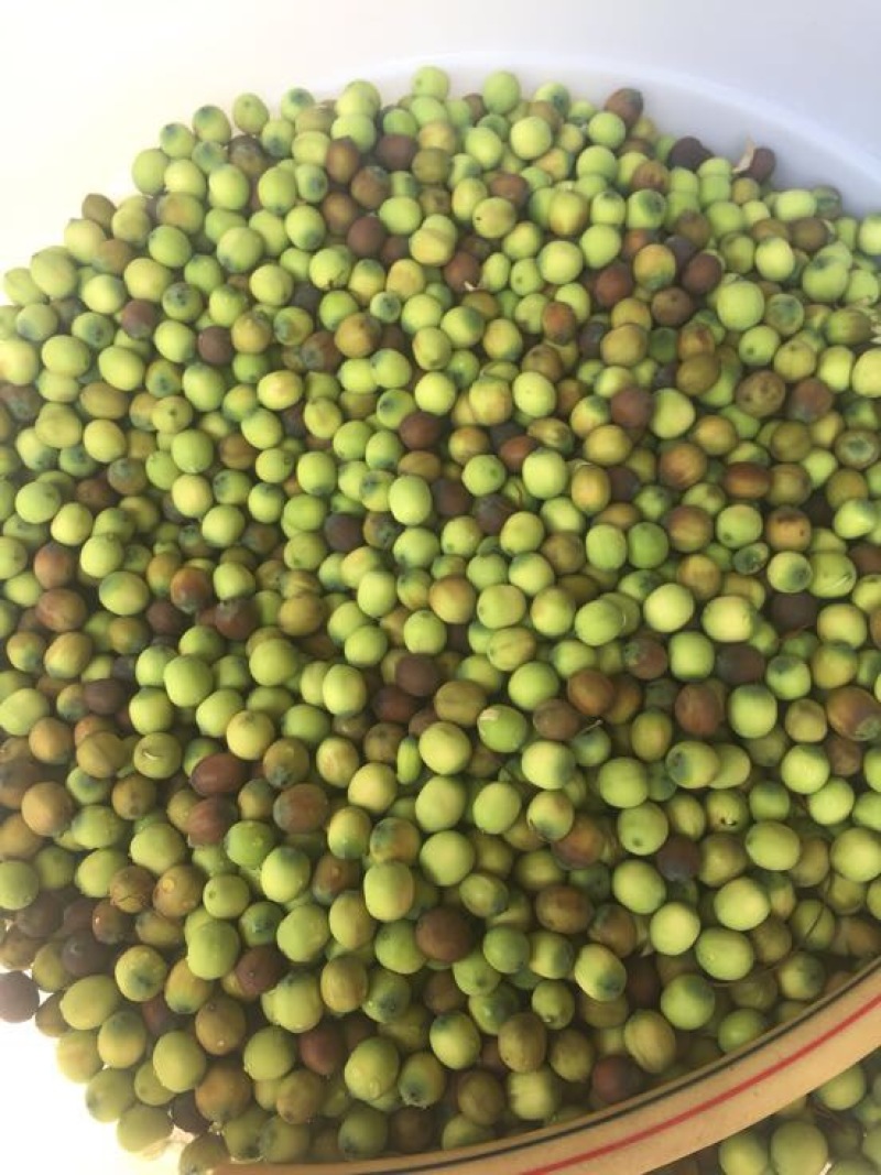 铁莲子特级干莲子