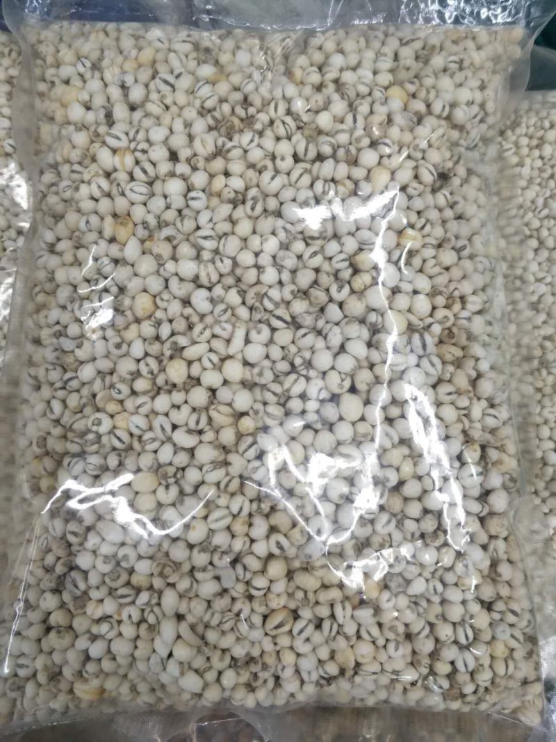 贝母贝母包邮小贝母干净无杂质全国包邮农副产品