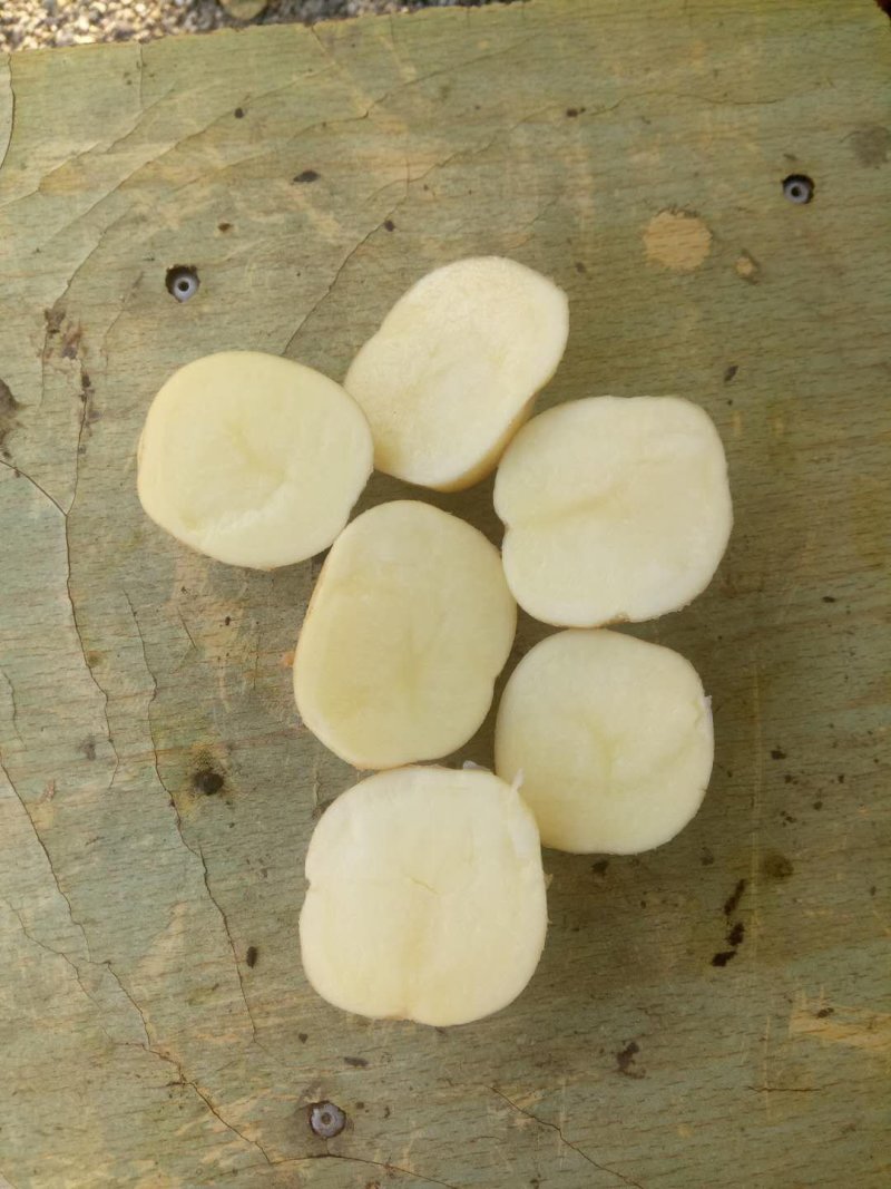 土豆延薯杠二