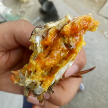兴化大闸蟹