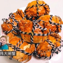 阳澄湖大闸蟹