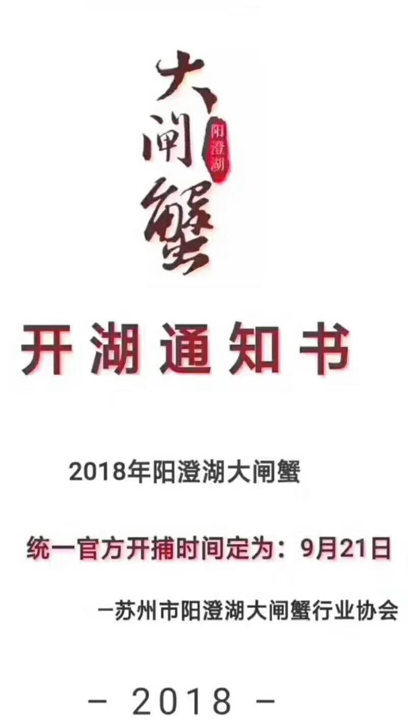 阳澄湖大闸蟹