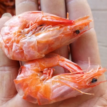 烤虾干