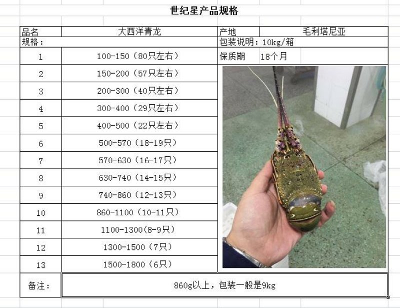 大西洋活冻活冻玉龙虾，源头供应，百分百活冻！