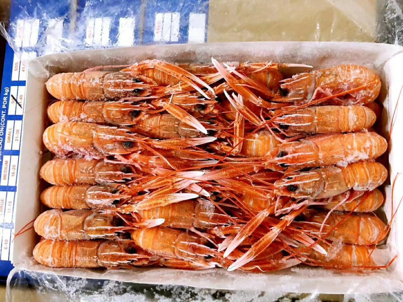 船冻莫桑比克海鳌虾！源头货！价格实在！
