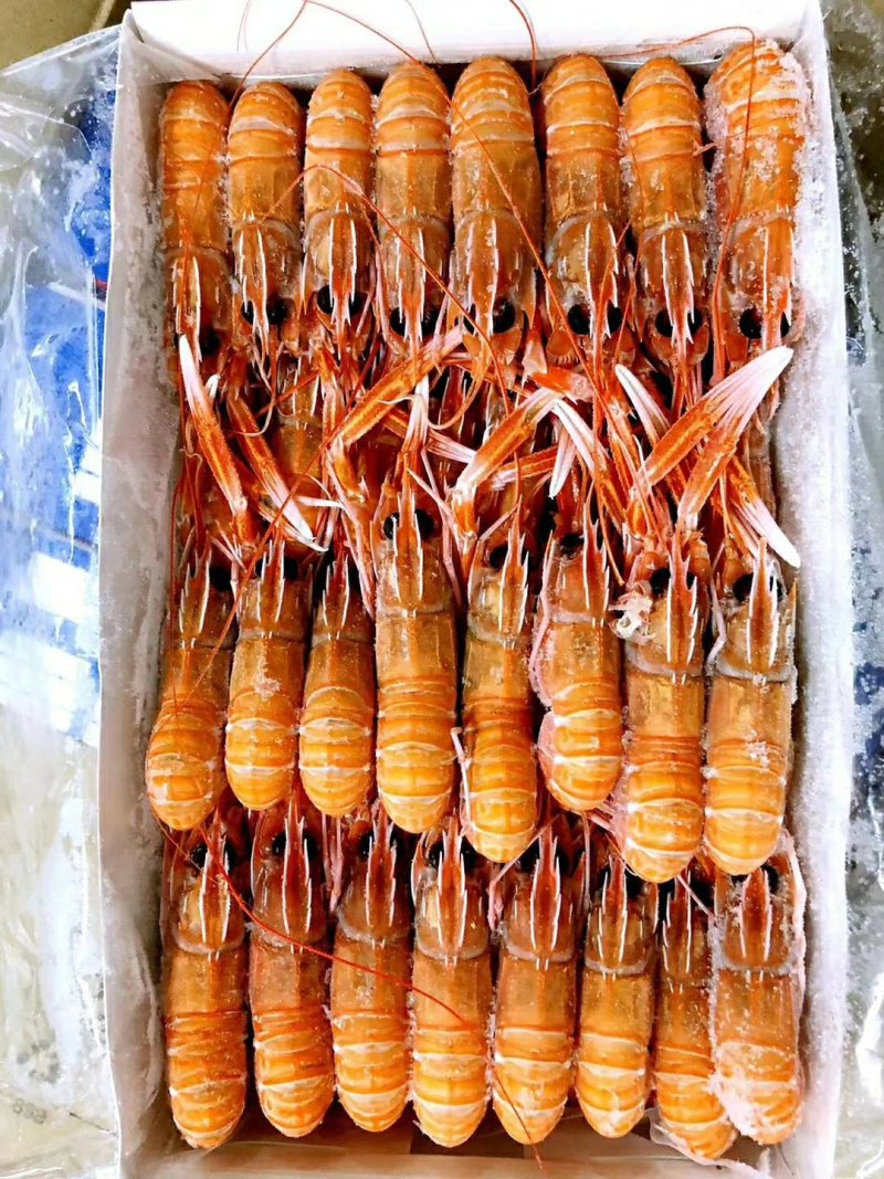 船冻莫桑比克海鳌虾！源头货！价格实在！