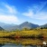 郦邑贡菊2018采摘召集，你采过葡萄草莓采过菊花吗？