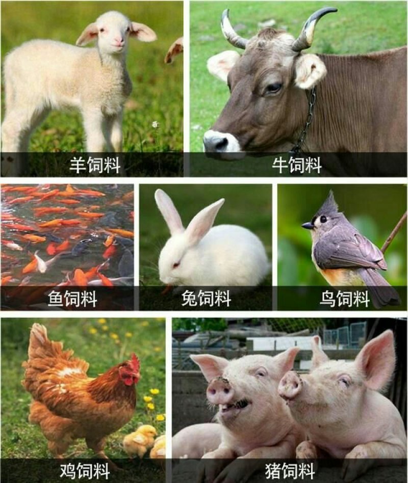 铡草粉碎揉丝机