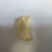 大蒜种子原种红皮大蒜种子