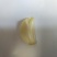 大蒜种子原种红皮大蒜种子