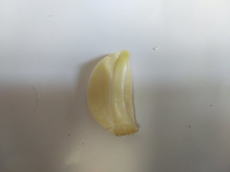 大蒜种子原种红皮大蒜种子
