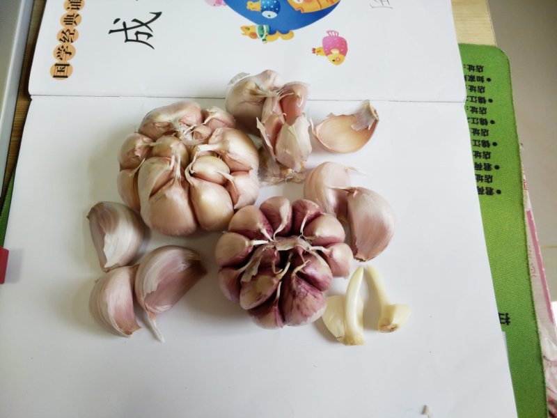 大蒜种子原种红皮大蒜种子