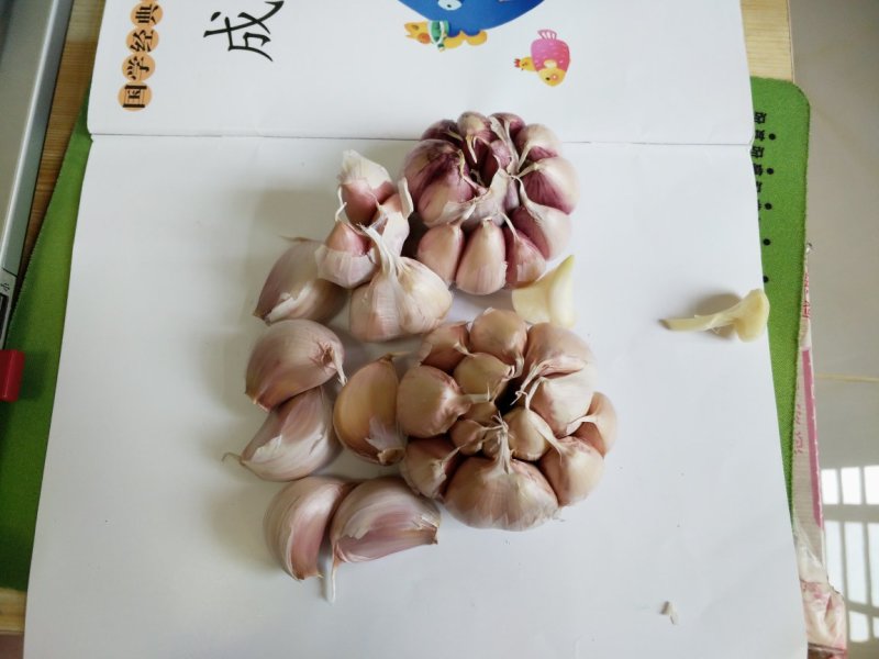 大蒜种子原种红皮大蒜种子