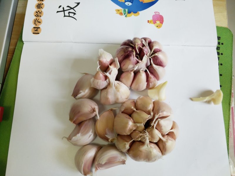 大蒜种子原种红皮大蒜种子