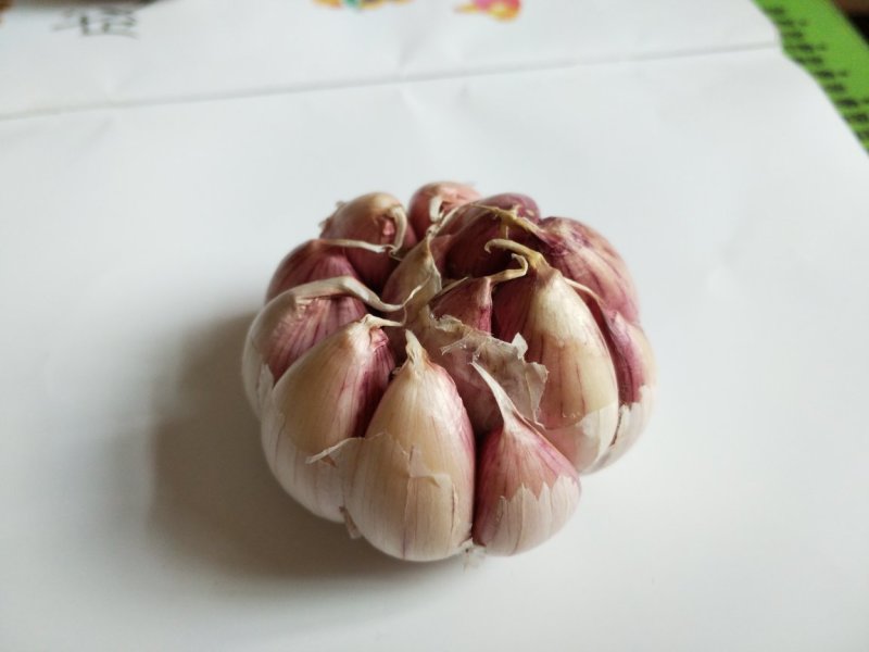 大蒜种子原种红皮大蒜种子