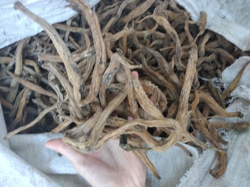 百部野生无硫