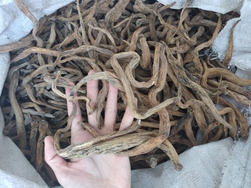百部野生无硫