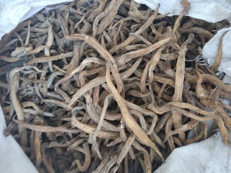 百部野生无硫