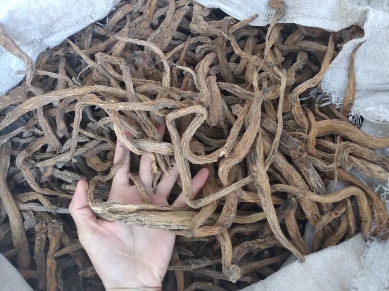百部野生无硫