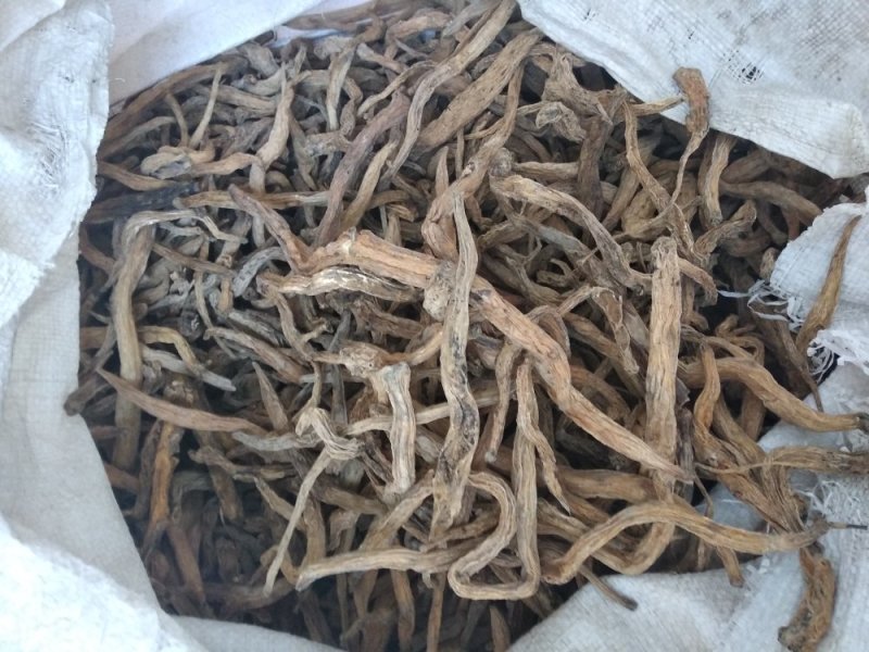 百部野生无硫