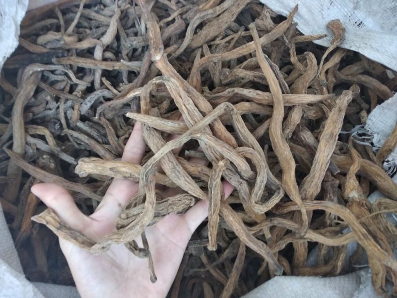 百部野生无硫