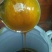 甘肃麻蜂蜜，土蜂蜜2斤装