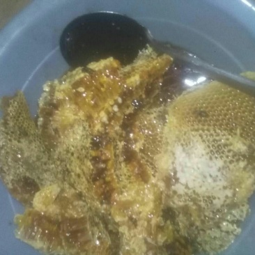 甘肃麻蜂蜜，土蜂蜜2斤装