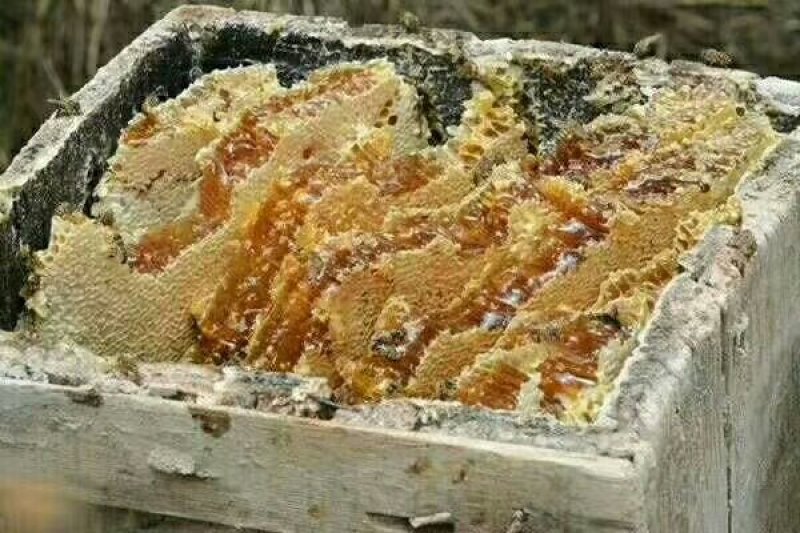 甘肃麻蜂蜜，土蜂蜜2斤装