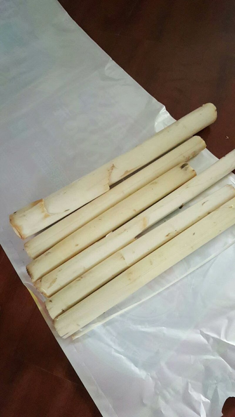 野芭蕉心