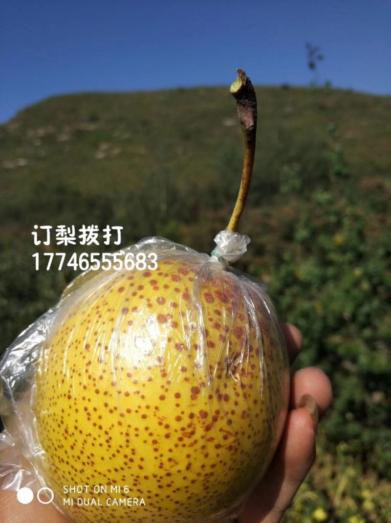 250g——500g