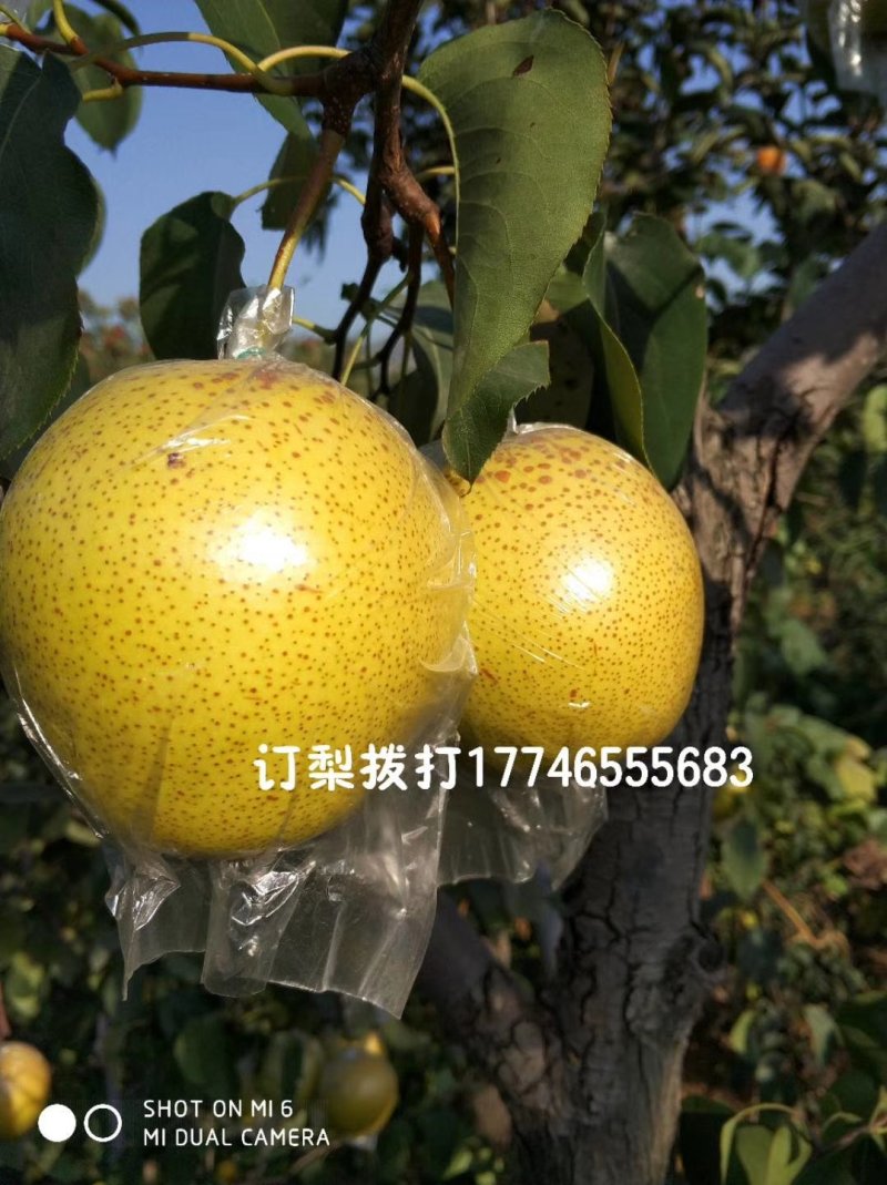 250g——500g