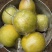 250g——500g