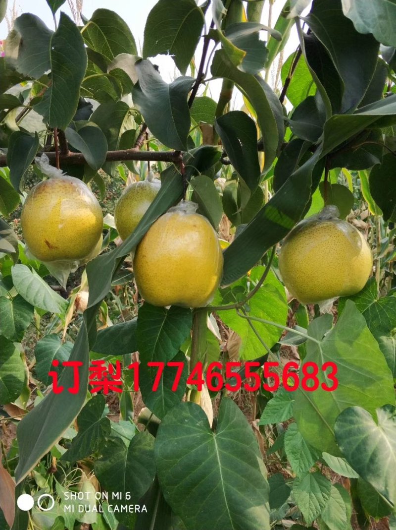 250g——500g