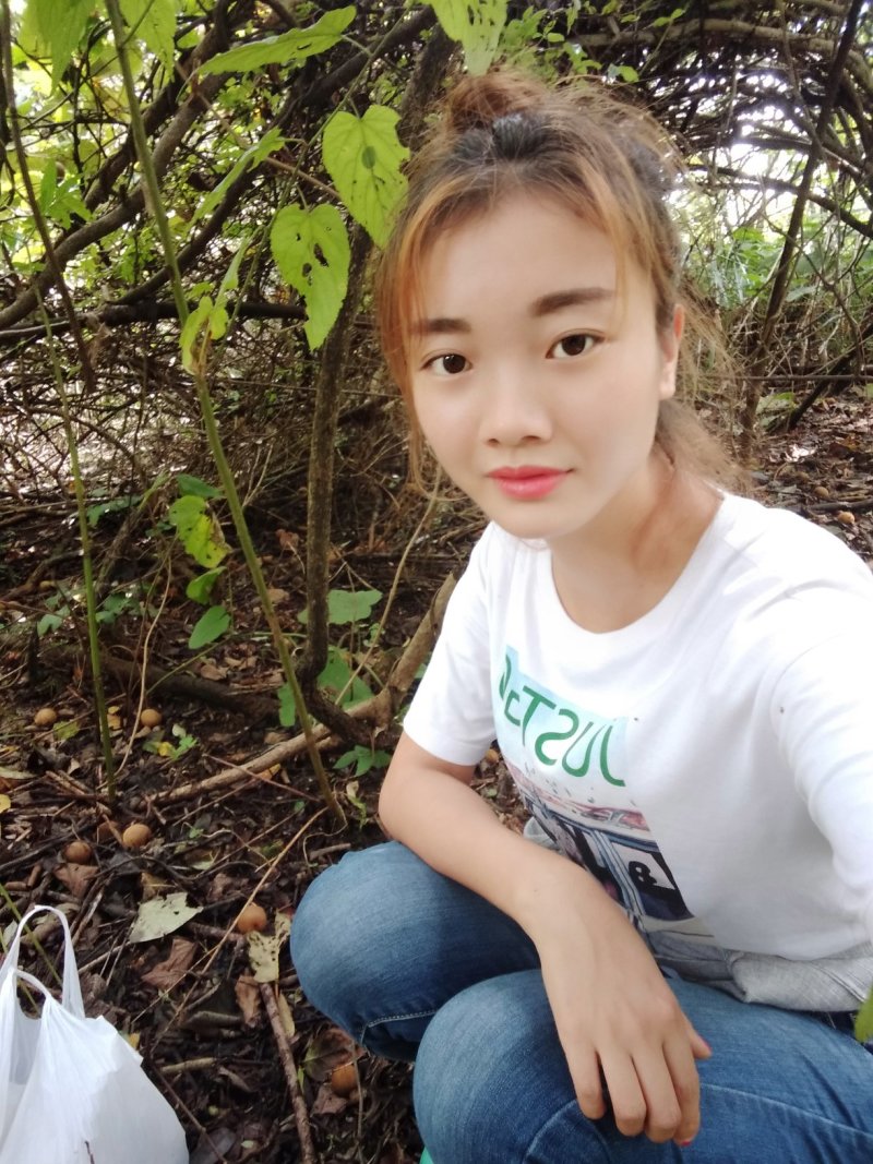 杜鹃花