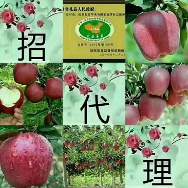👗同样是苹果🍎，你可以在超市买，[得意]但是你买