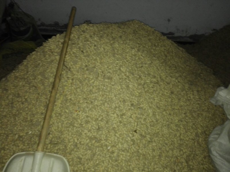 花生，手选果，花生米等