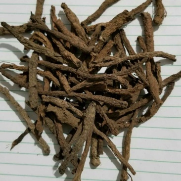 宜宾红皮仙茅