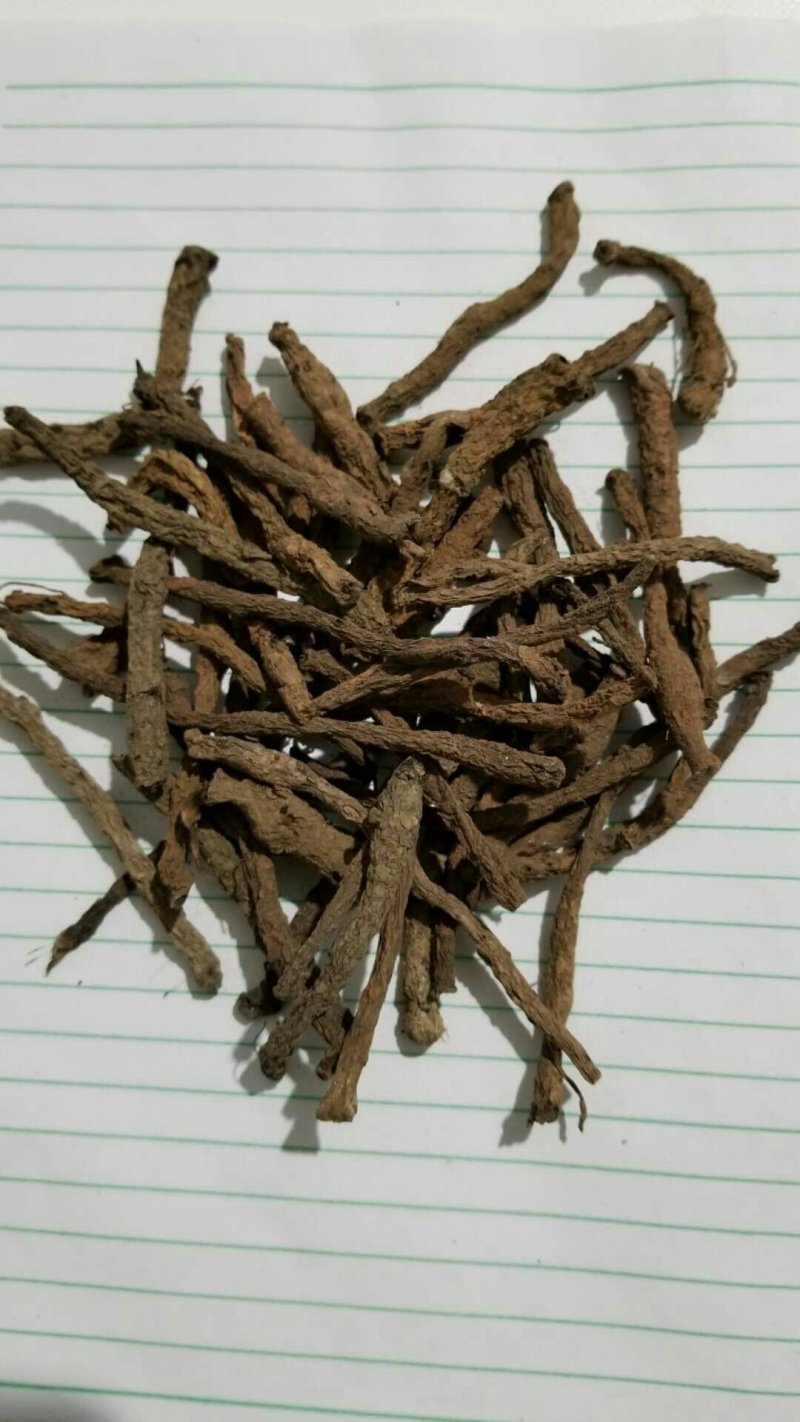 宜宾红皮仙茅