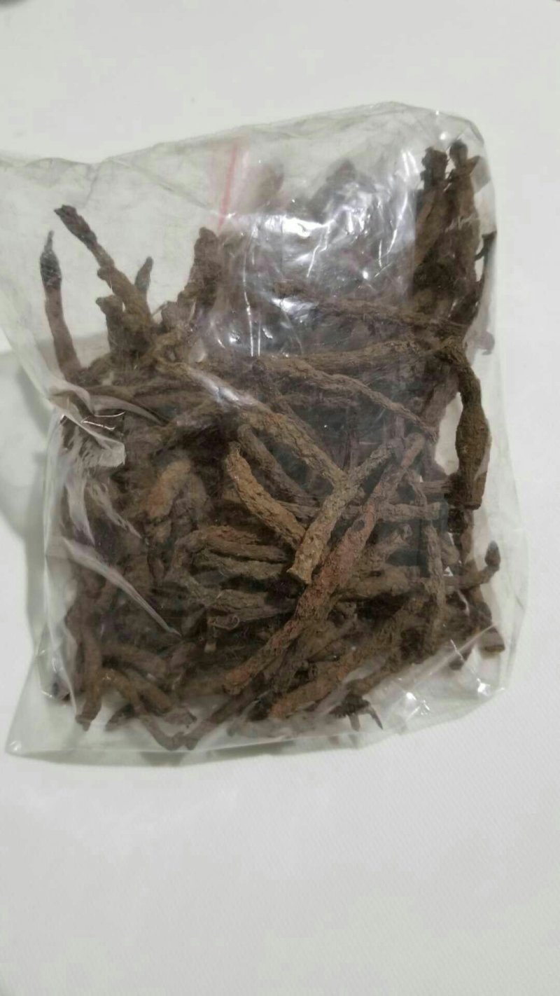 宜宾红皮仙茅