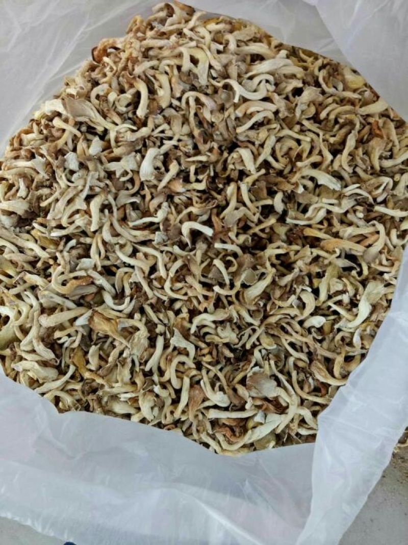 供应平菇干品！