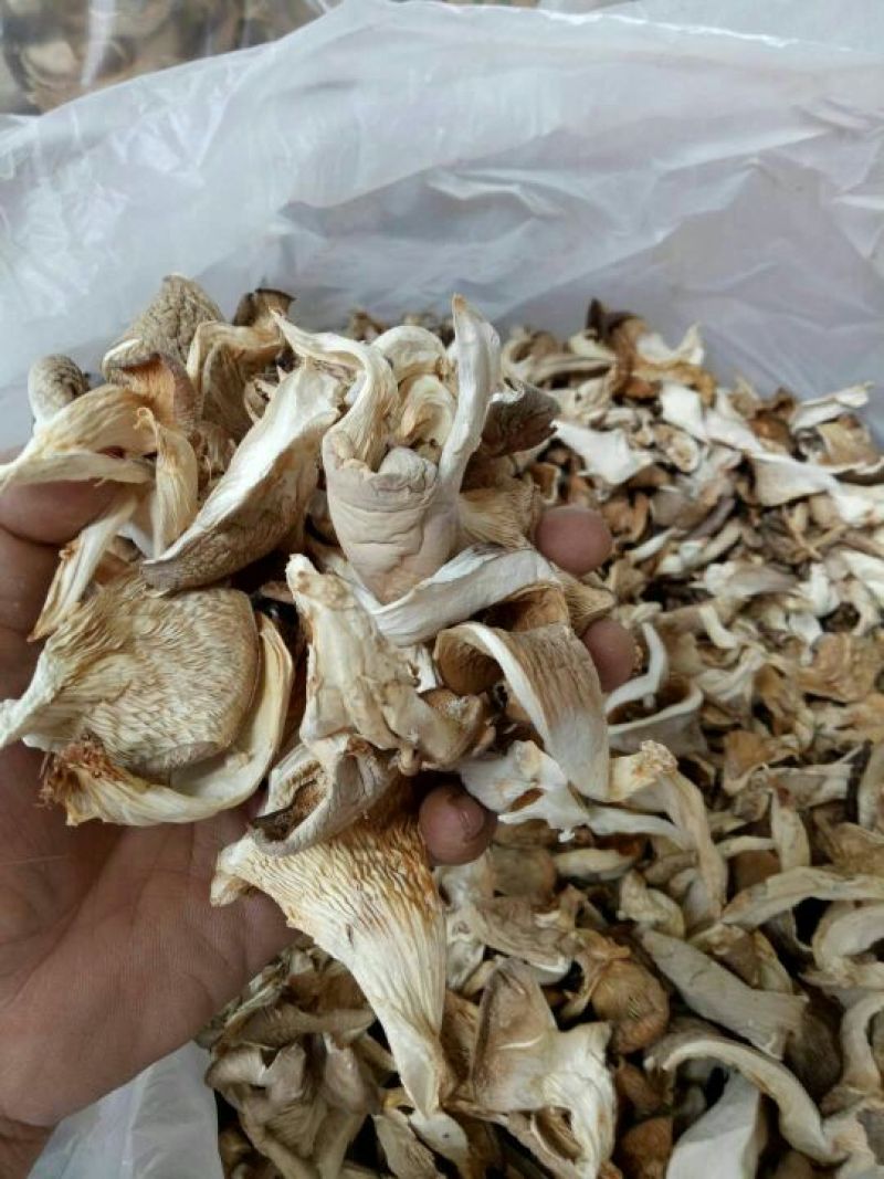 供应平菇干品！