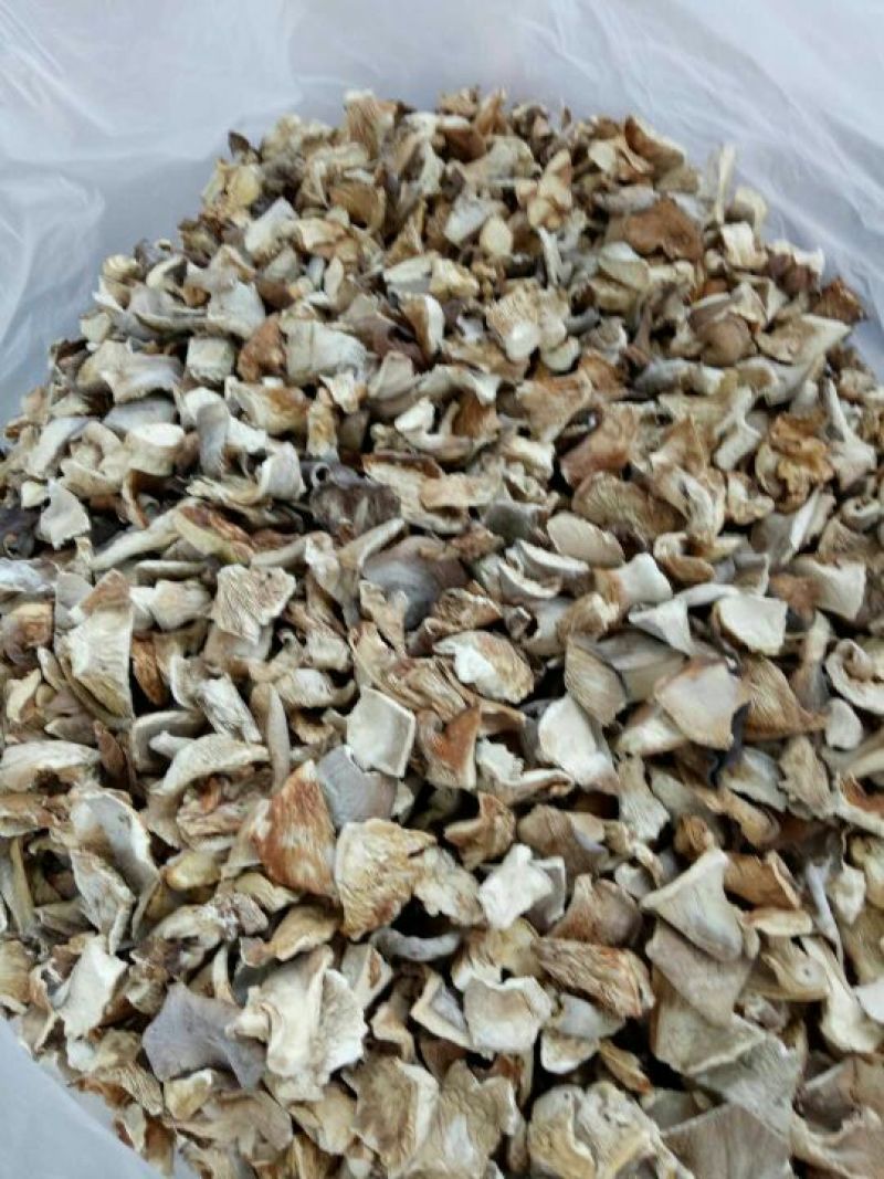 供应平菇干品！